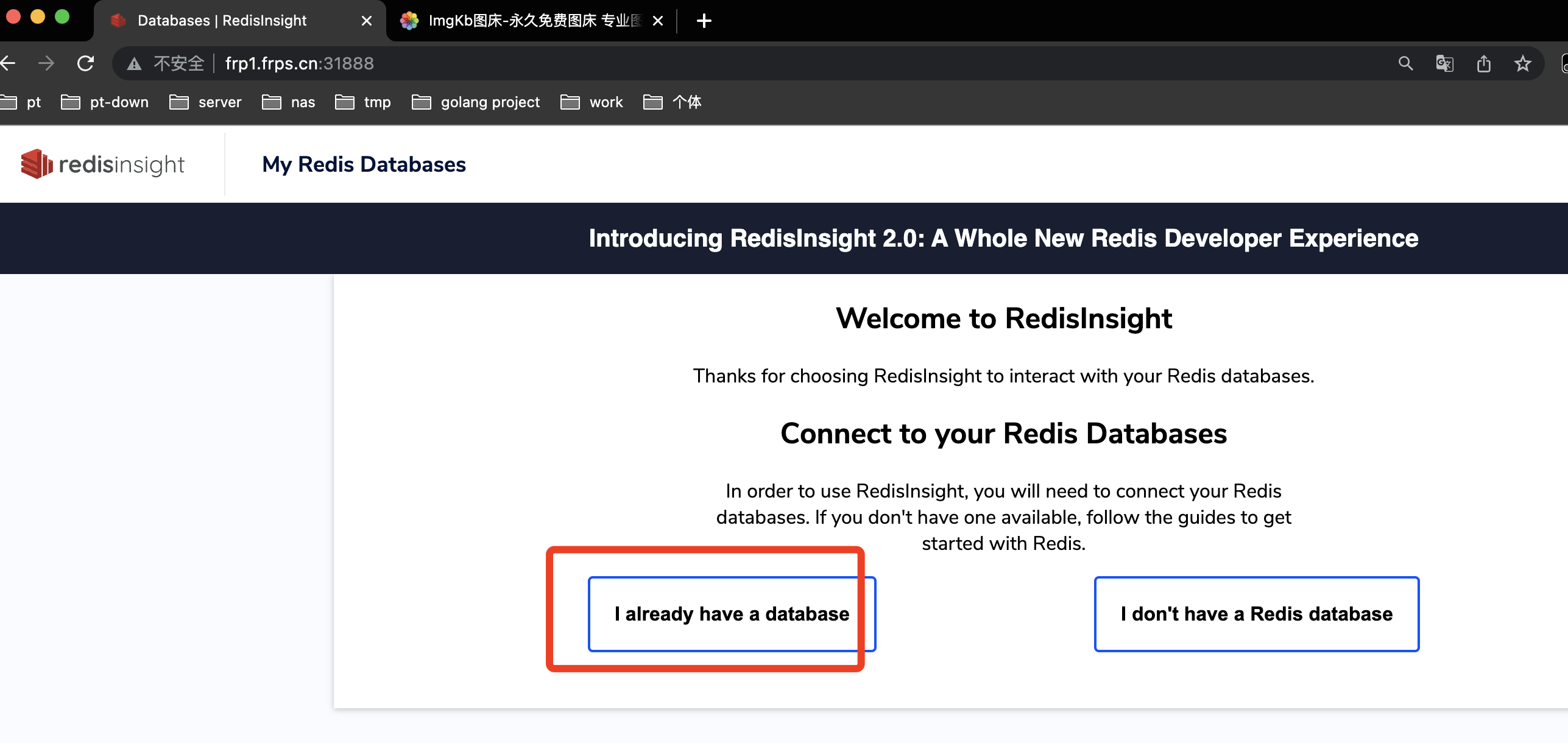 Kubernetes helm redis cluster redisinsight i4t